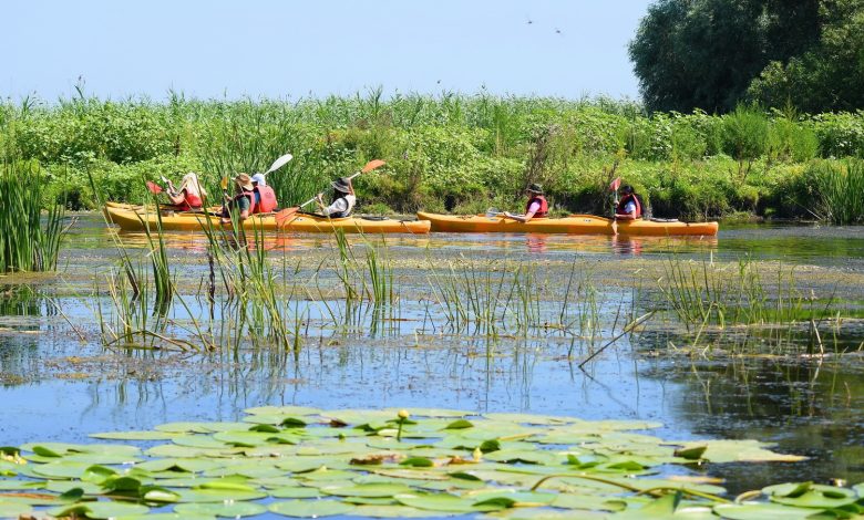 Asociația Travel Pro propune extinderea vacanței de vară ca măsură strategică pentru economie, educație și turism